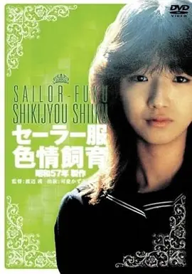 电影《功夫》海报